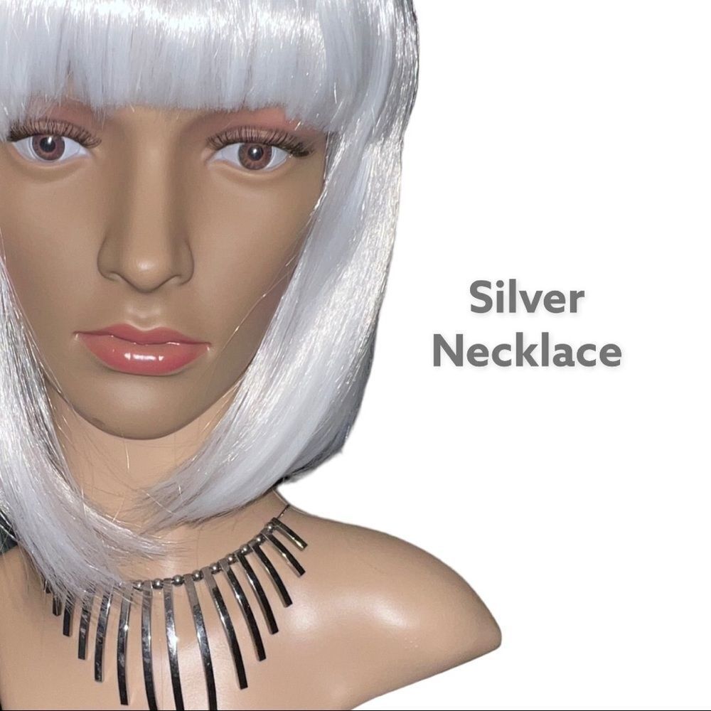 Super nice silver necklace! Cute style!